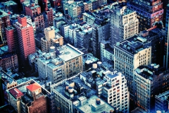 Metropolis