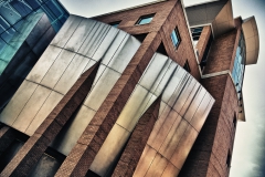 Metropolis
