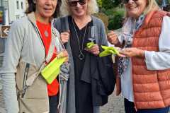 WhatsApp-Image-2025-10-12-at-13.16.39