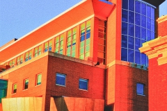 EHVibrant-6